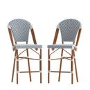 Celia Set of Two Indoor/Outdoor Stacking French Bistro Counter Stools with Patterned Seats and Backs & Light Natural Metal Frames