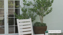 Fielder Contemporary Rocking Chair, All-Weather HDPE Indoor/Outdoor Rocker in White