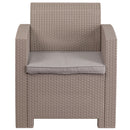 Malmok Outdoor Furniture Resin Chair Light Gray Faux Rattan Wicker Pattern Patio Chair With All-Weather Beige Cushion