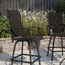 Set of 2 Brett High Back Bar Height Swivel Patio Stools with Powder Coated Metal Frames and Textilene Upholstery
