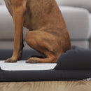 Cozy Orthopedic Joint Relief Memory Foam Bolster Dog Bed for Pets up to 44 LBS., Gray Removable, Washable Cover, Non-Slip Bottom