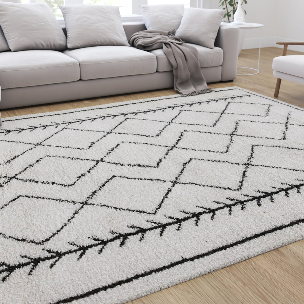 MystiqueDecors 4x6' Rug for Living Room - Natural White & Black Checke –  MystiqueDecors By AK