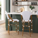 Celia Set of Two Indoor/Outdoor Stacking French Bistro Counter Stools with Patterned Seats and Backs & Light Natural Metal Frames